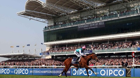 A cracking Guineas Match up