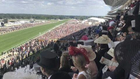Reve to become first Japanese Ascot winner