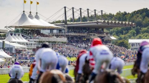 Let’s look for some soft ground value horses