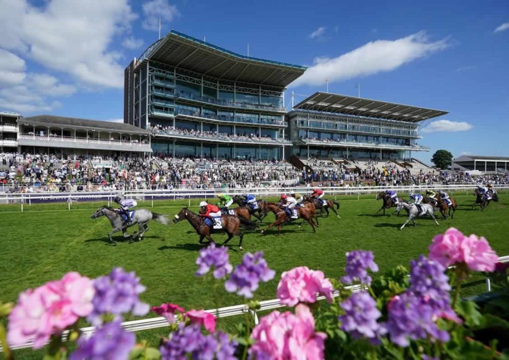 Flowers in the foreground at York Racecourse with horses racing at the Ebor with the stands behind