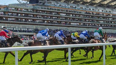 Atlas can find the way to Ascot glory