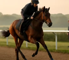 Adonius eyed at York or Paris before potential US campaign