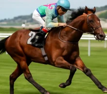 Haydock on radar for Samangan as Ascot target remains in play