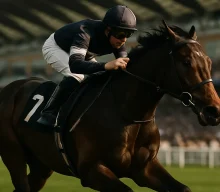 Walker brings a strong juvenile hand to the Ebor Festival after Ascot successes