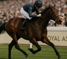 Precise heads 12-strong entry for Jacques le Marois as O’Brien seeks third success