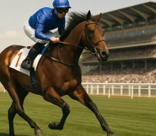 Point Of Law to transfer to Australia after Bahrain Trophy success