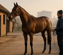 Unbeaten Matteo Set for Gimcrack Assignment at York