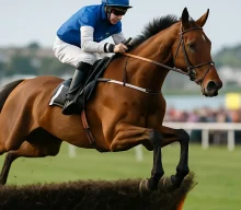 Kasper Hauser makes promising start over fences at Tramore
