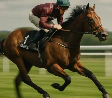 Prince Of India to stretch out to seven furlongs in Hungerford bid