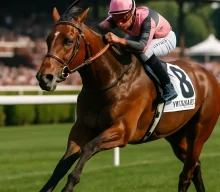 Glacius Set for Nashville Derby After Saratoga Success