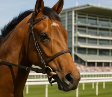 Lifeplan targets York return after aborted Royal Ascot plan