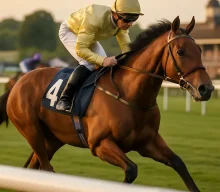 Brighton and Windsor feature promising juvenile and competitive handicaps
