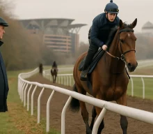 Haggas Withdraws Maltese Cross from St Leger, Targets Prix de l’Arc