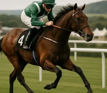 Enceladus set for St Leger bid as O’Brien entries feature strongly