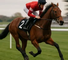 Arapaho Gold likely to head to Newbury with Ascot Champions Day on the radar
