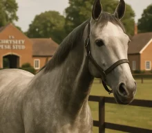 Estrange retired by Cheveley Park Stud after Group One success