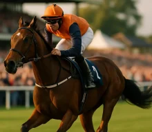 Navan victors catch the eye as attention turns to Champions Weekend