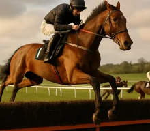 Thewaybackhome overcomes veteran in Wexford finale