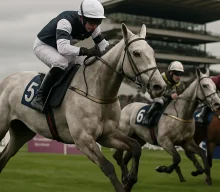 Knocknagoran Lady completes third victory of the summer at Down Royal