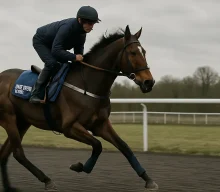 Constitution Hill’s Melbourne Cup hopes hinge on September Stakes run at Kempton