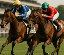 Ascot form to the fore as Drazinda and Armor Supreme renew rivalry in Prix d’Arenberg