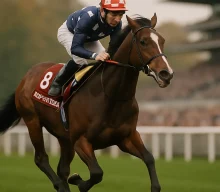 Murphy confident Bay City Roller will handle 10-furlong test at Ascot