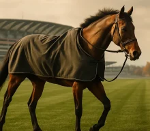 Calandagan poised for return to Ascot as riding situation remains uncertain