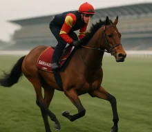 Ebor winner Daiquiri Bay steps up to two miles in Long Distance Cup as King seeks further progress