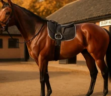 Almeraq retired to Shadwell’s Beech House after standout season including Royal Ascot and Champio…
